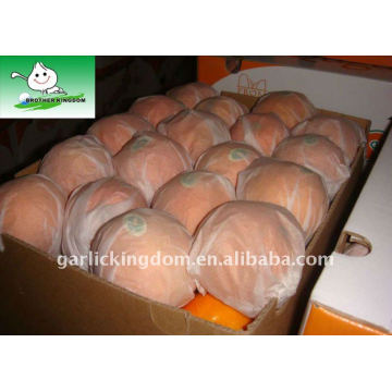 Big Navel Orange in Carton